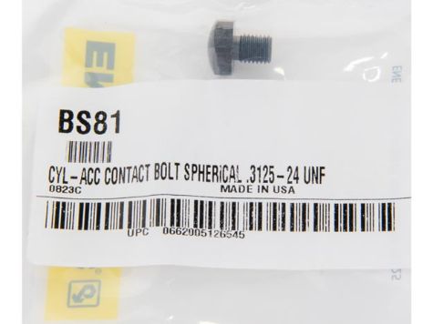 BS81